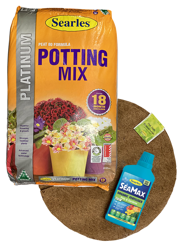 How to repot wire hanging baskets Searles Gardening